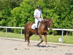 2013 Sommerturnering